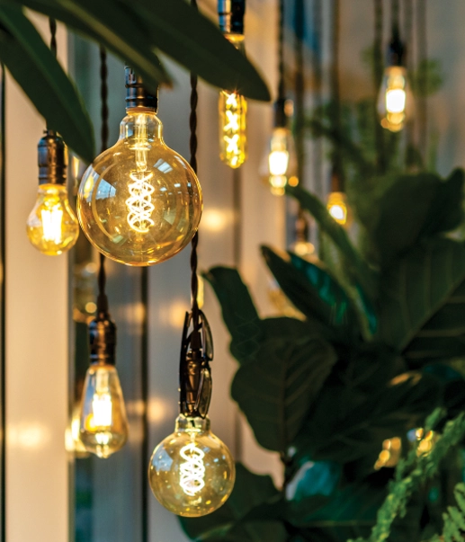 Smart Lighting  Installations