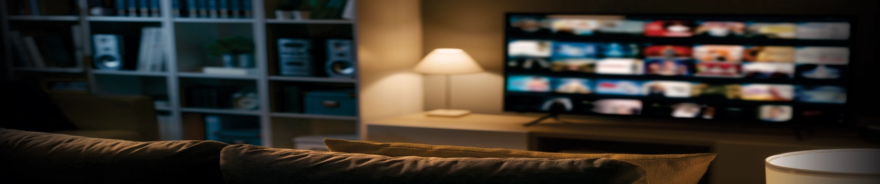 Home Theatre Systems Services in Faridabad Home Theatre Systems Services in Faridabad
